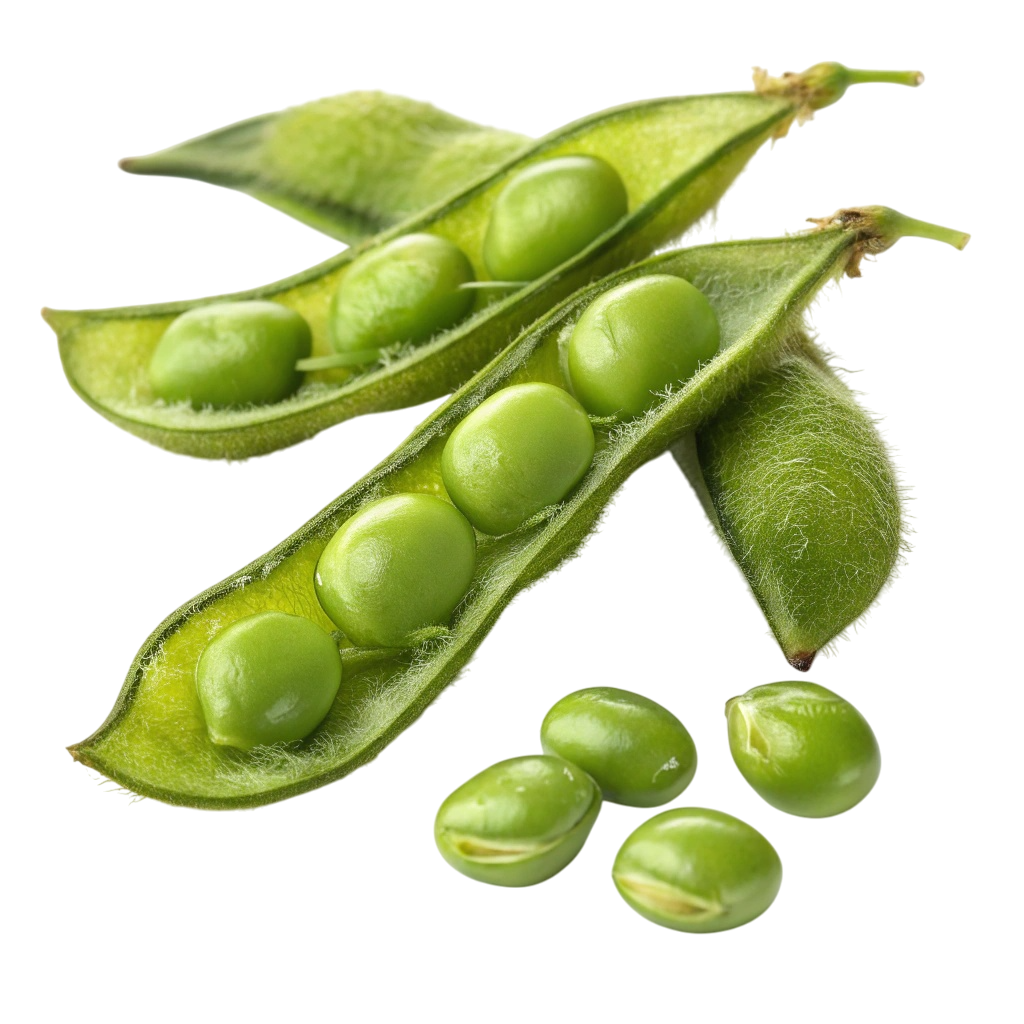 枝豆AI生成画像